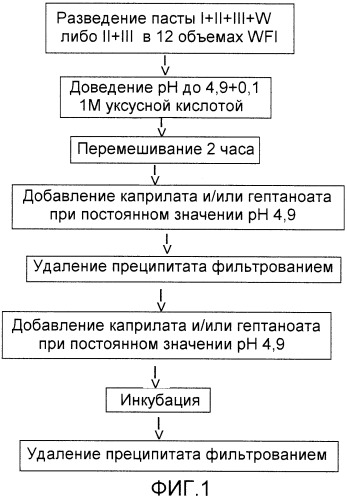 Препарат иммуноглобулина igg и способ его получения (патент 2337109)