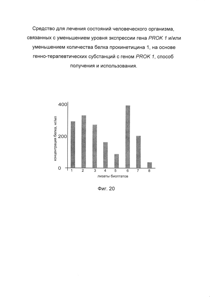 Средство для лечения состояний человеческого организма, связанных с уменьшением уровня экспрессии гена prok 1 и/или уменьшением количества белка прокинетицина 1 на основе генно-терапевтических субстанций с геном prok 1, способ получения и использования (патент 2662944)