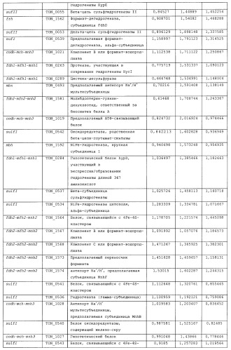 Новая гидрогеназа seq id no:5, очищенная из thermococcus onnurienus na1 с помощью моноokcида углерода, кодирующие ее гены, и способы получения водорода с использованием микроорганизма, имеющего указанные гены (патент 2460789)