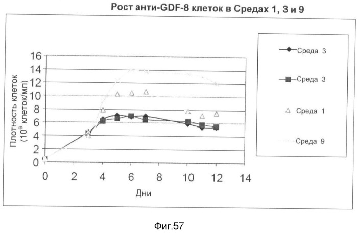 Получение рекомбинантного белка pфно-lg (патент 2458988)