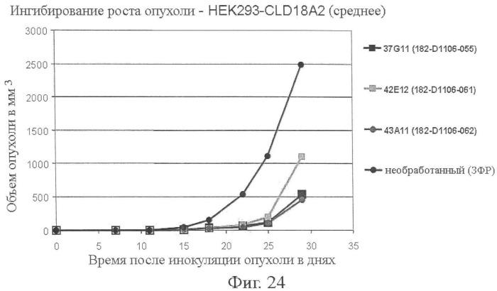 Моноклональные антитела к клаудину-18 для лечения рака (патент 2445319)