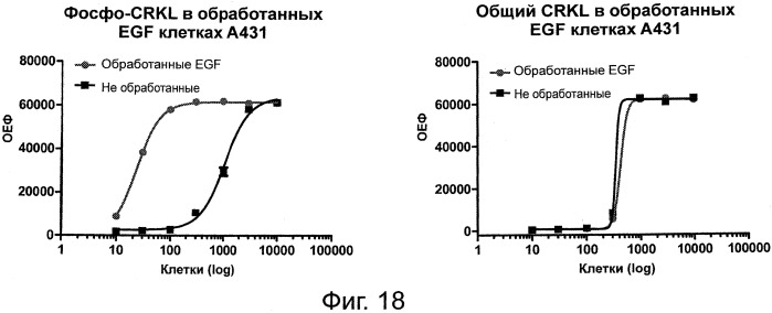 Способы выявления онкогенных слитых белков, основанные на анализе близкого взаимного расположения (патент 2558797)