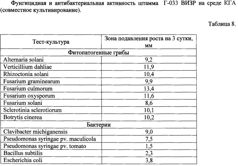 Штамм гриба lecanicillium muscarium, обладающий инсектоакарицидной и антибиотической активностью для борьбы против сосущих вредителей, грибных и бактериальных болезней (патент 2598251)