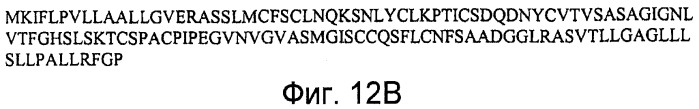 Способы выявления воспалительного заболевания кишечника (патент 2502806)