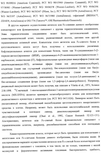 Антитело, содержащее fc-вариантную часть (варианты), фармацевтическая композиция, содержащая антитело, и способ лечения млекопитающего (патент 2325186)