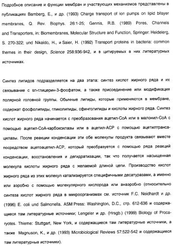 Новый ген элонгазы и способ получения полиненасыщенных кислот жирного ряда (патент 2311457)