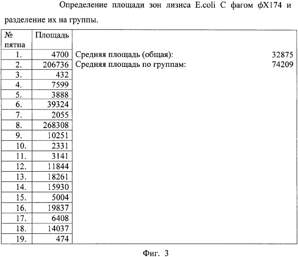 Способ оценки результатов фагоиммунотеста (патент 2347225)