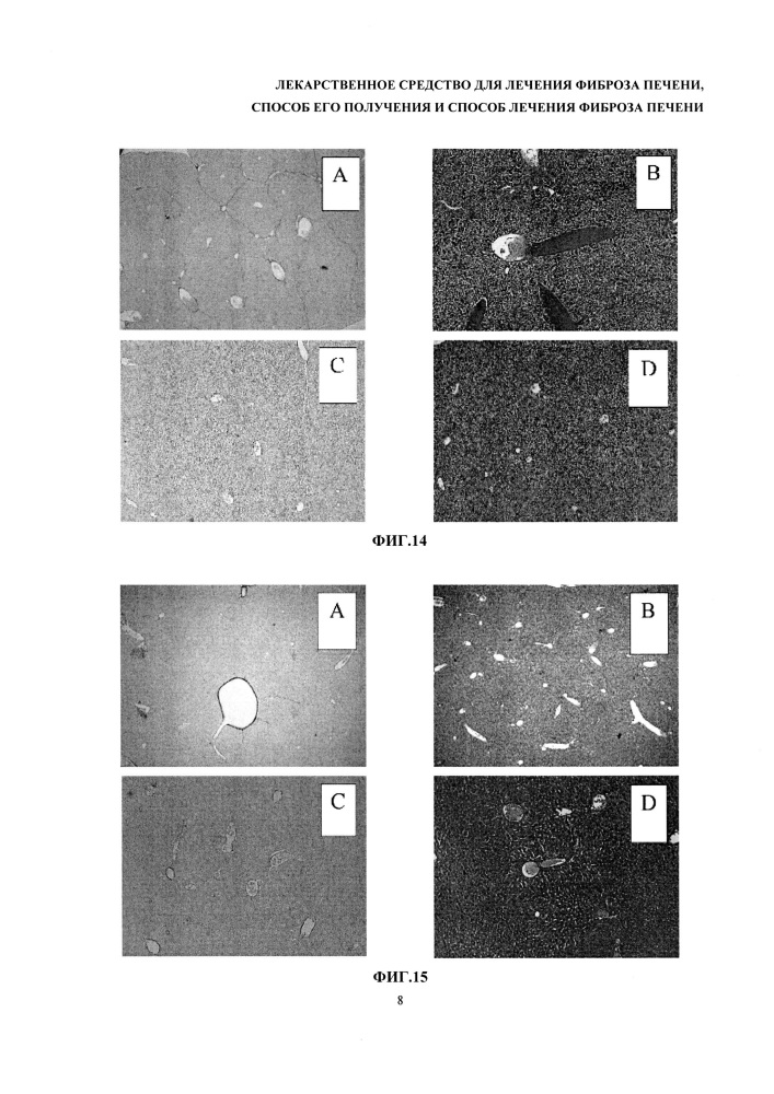 Лекарственное средство для лечения фиброза печени, способ его получения и способ лечения фиброза печени (патент 2615445)