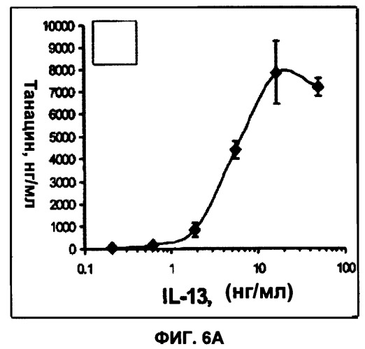 Il-13 связывающие агенты (патент 2434881)