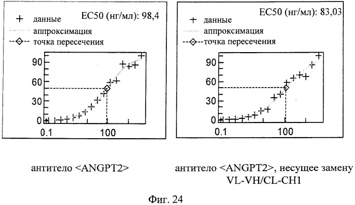 Двухвалентные биспецифические антитела (патент 2547615)