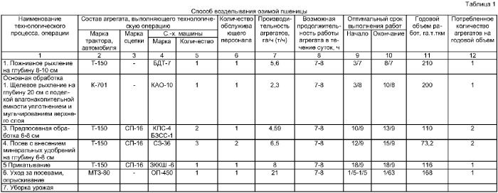 Способ возделывания озимой пшеницы (патент 2360393)