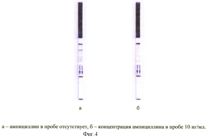 Способ иммунохроматографического определения антибиотиков в молоке и молочных продуктах (патент 2406090)