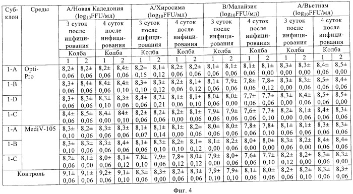 Линии клеток почки собаки майдин-дэрби (mdck), поддерживающие рост вирусов до высоких титров, и способ применения этих клеток в биореакторе (патент 2487935)