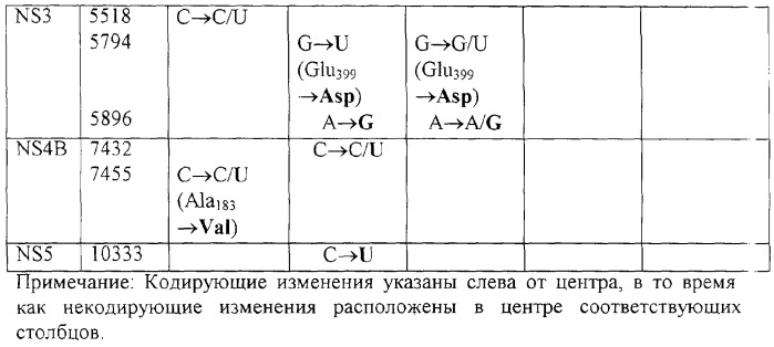 Инфекционные клоны полномерной кднк клещевого флавивируса (патент 2288266)