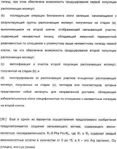 Специфические антитела человека для избирательной терапии рака (патент 2316564)