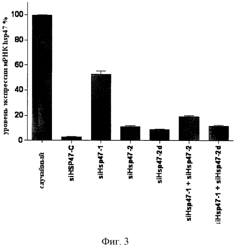 Модуляция экспрессии hsp47 (патент 2575056)