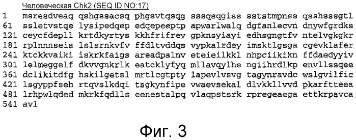 Пептидная защита против токсического воздействия ультрафиолетового излучения (патент 2565535)