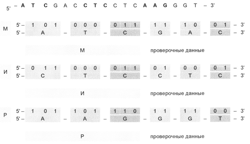 Способы кодирования и декодирования информации (патент 2659025)