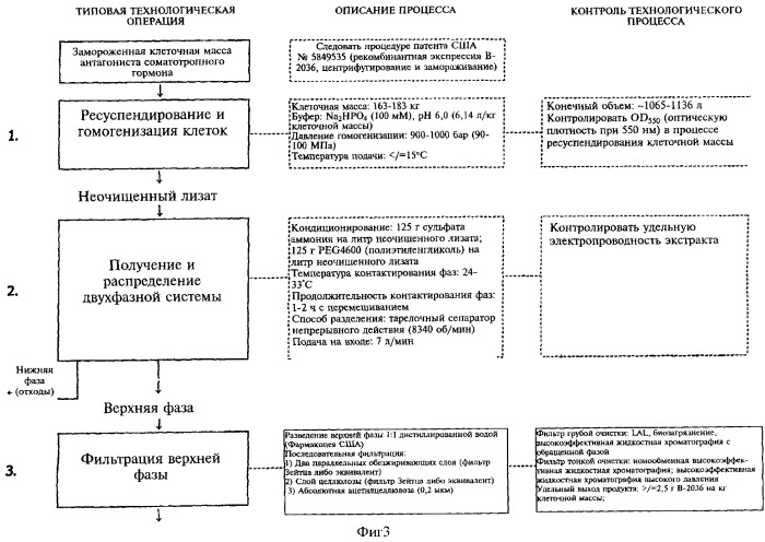 Способ получения рекомбинантного полипептида-антагониста соматотропного гормона со сниженным содержанием изоформных примесей (варианты) (патент 2337920)