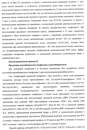 Способ получения фактора, связанного с контролем над потреблением пищи и/или массой тела, полипептид, обладающий активностью подавления потребления пищи и/или прибавления в весе, молекула нуклеиновой кислоты, кодирующая полипептид, способы и применение полипептида (патент 2418002)