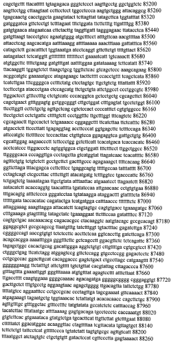 Модуляция экспрессии гентингтина (патент 2562861)