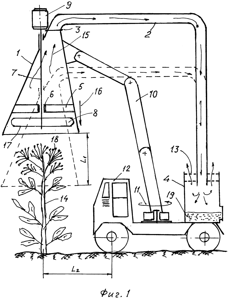 Способ предотвращения естественного распространения семян борщевика сосновского и других высокорослых зонтичных растений (патент 2627494)
