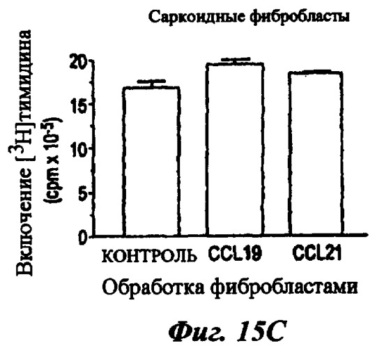 Материалы и способы лечения хронических фиброзных заболеваний (патент 2446825)