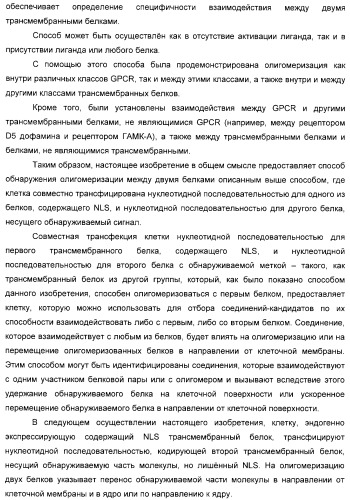 Способ идентификации соединений, взаимодействующих с трансмембранными белками (патент 2326166)