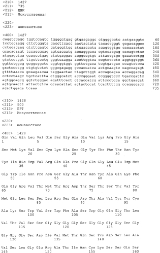 Cd3-эпсилон-связывающий домен с межвидовой специфичностью (патент 2561457)