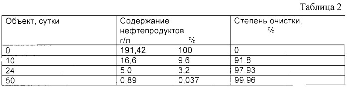 Штамм rhodococcus globerulus н-42 для разложения нефти и нефтепродуктов (патент 2300561)