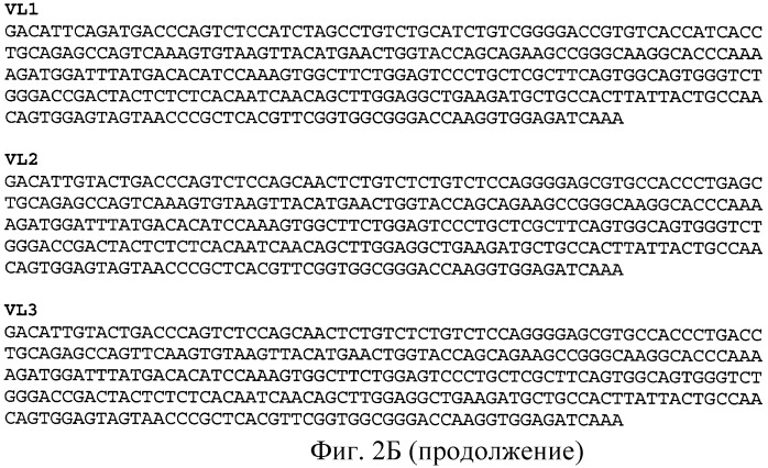 Полиспецифические деиммунизирующие cd3-связующие (патент 2401843)