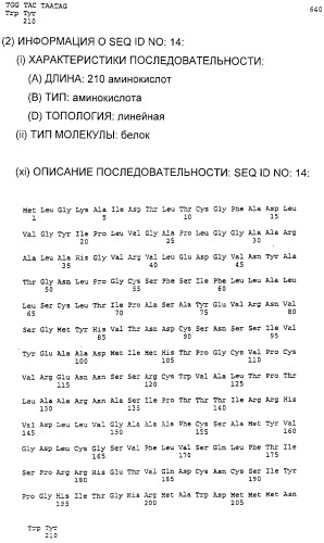 Очищенные белки оболочки вируса гепатита с для диагностического и терапевтического применения (патент 2313363)