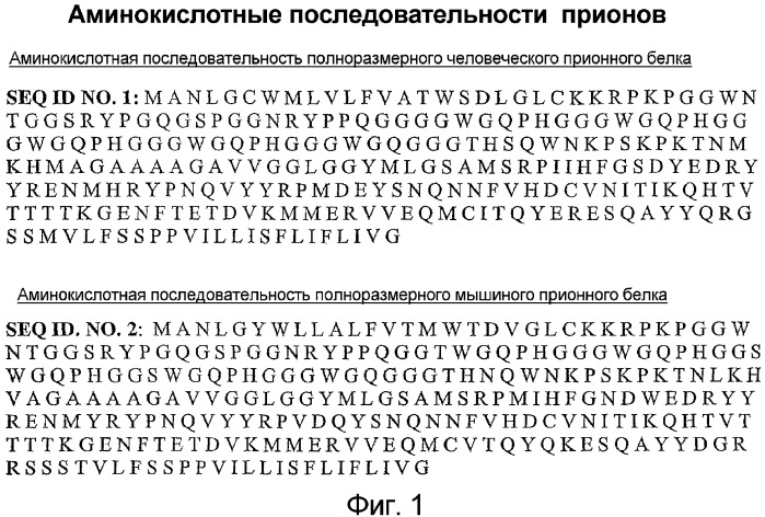 Специфичные в отношении прионов пептидные реагенты (патент 2381033)