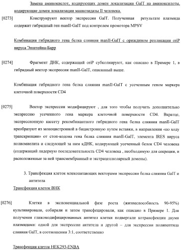 Конструкции слияния и их применение для получения антител с повышенными аффинностью связывания fc-рецептора и эффекторной функцией (патент 2407796)