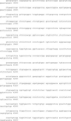 Способ модификации изоэлектрической точки антитела с помощью аминокислотных замен в cdr (патент 2510400)