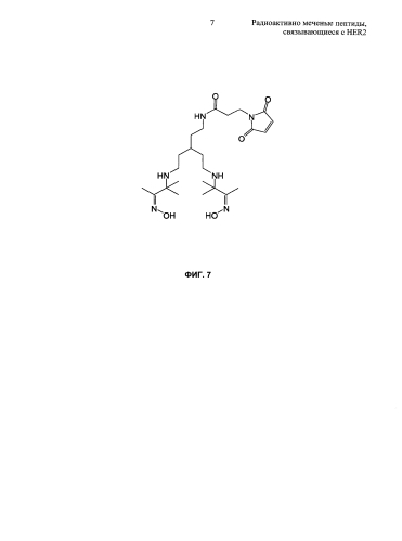 Радиоактивно меченые пептиды, связывающиеся с her2 (патент 2592685)