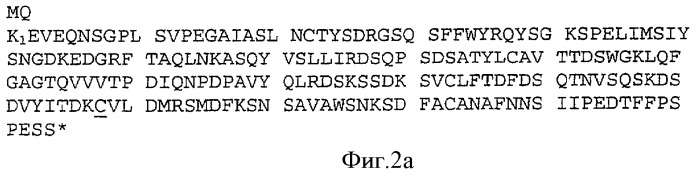 Одноцепочечные рекомбинантные т-клеточные рецепторы (патент 2355703)