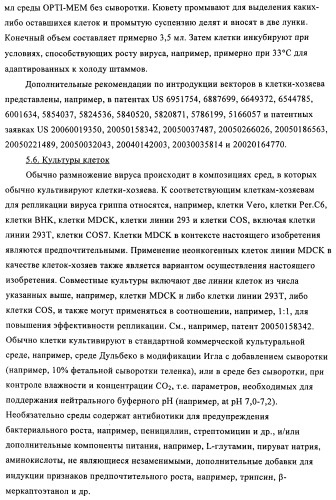 Способы и композиции для экспрессии антисмысловой вирусной рнк в клетках собаки (патент 2457250)