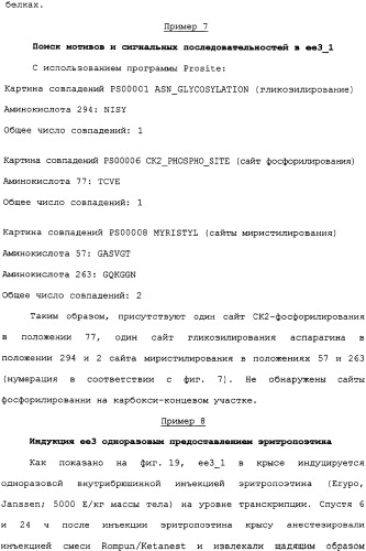 Ее3-семейство белков и соответствующие днк-последовательности (патент 2333918)