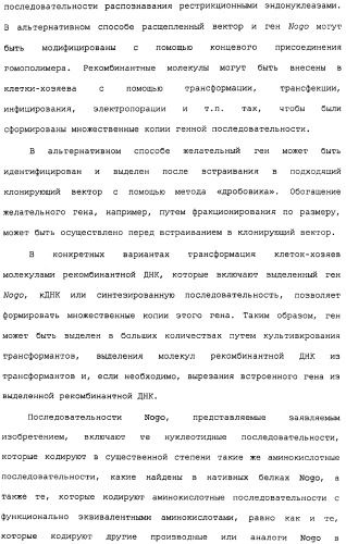 Поликлональное антитело против nogo, фармацевтическая композиция и применение антитела для изготовления лекарственного средства (патент 2432364)