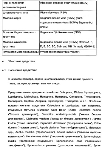 Новые последовательности нуклеиновых кислот и их применение в способах достижения устойчивости к патогенам в растениях (патент 2346985)