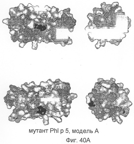 Новые мутантные аллергены (патент 2285042)