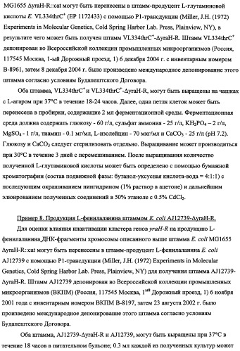 Способ получения l-треонина с использованием бактерии, принадлежащей к роду escherichia, в которой инактивирован кластер генов yrah-r (патент 2337962)