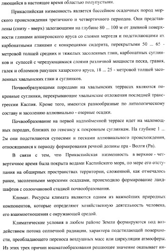 Способ прогнозирования семенной продуктивности солодки (патент 2364078)