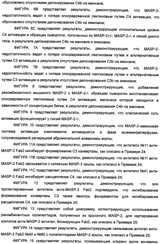 Способ лечения заболеваний, связанных с masp-2-зависимой активацией комплемента (варианты) (патент 2484097)