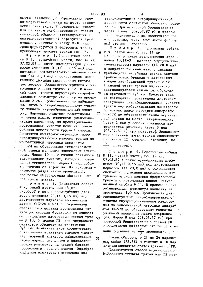 Способ моделирования фиброзного стеноза трахеи и главного бронха (патент 1499393)