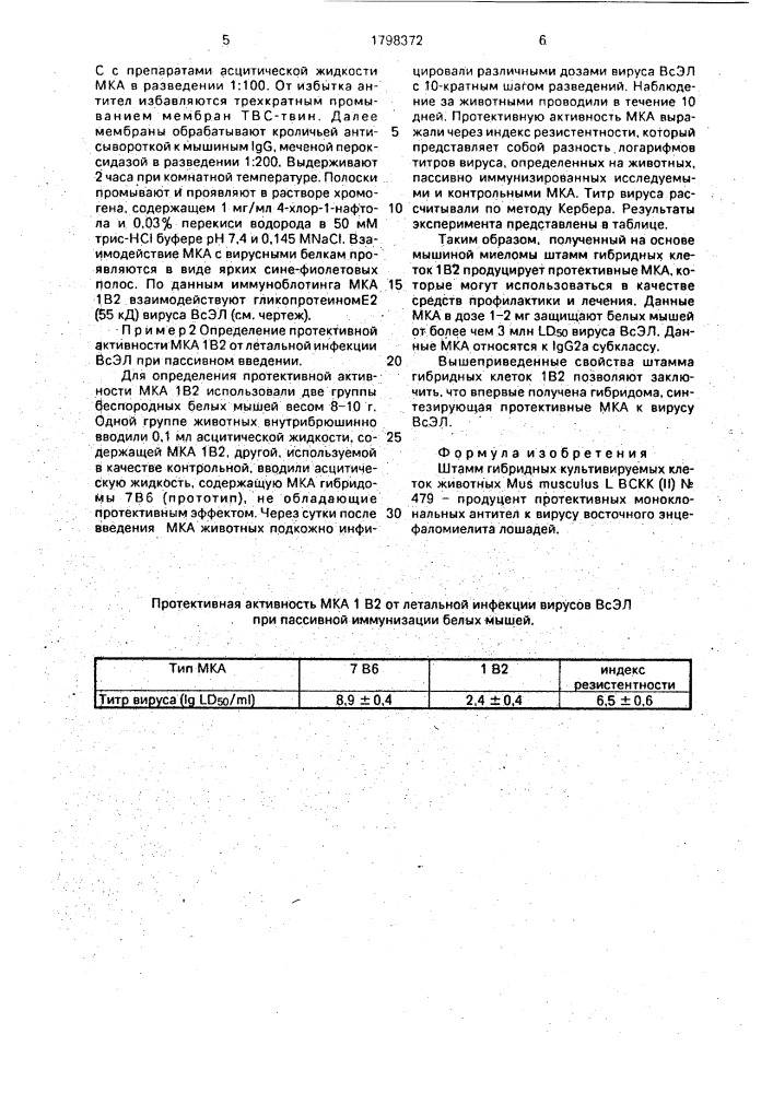 Штамм гибридных культивируемых клеток животных mus мusсulus l. - продуцент протективных моноклональных антител к вирусу восточного энцефаломиелита лошадей (патент 1798372)