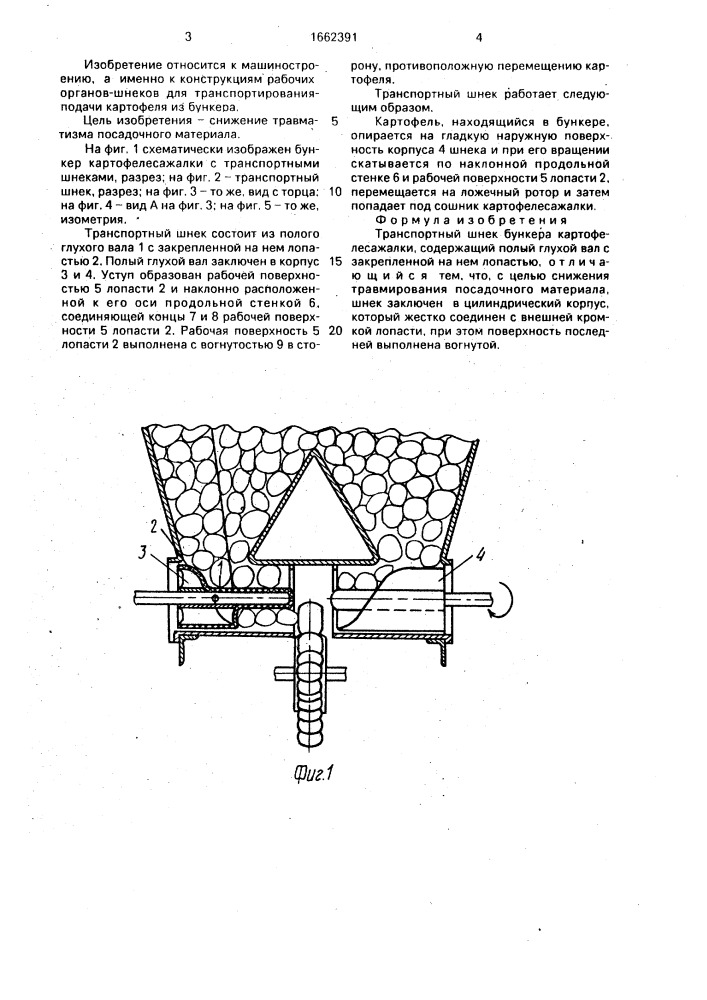 Транспортный шнек бункера картофелесажалки (патент 1662391)