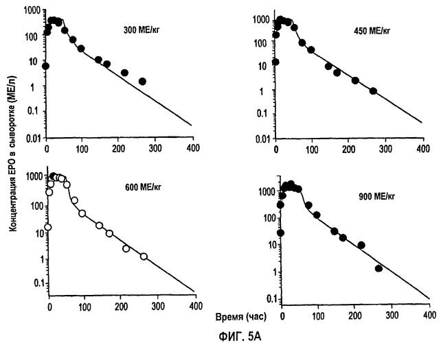 Фармакокинетическое и фармакодинамическое моделирование введения эритропоэтина (патент 2248215)