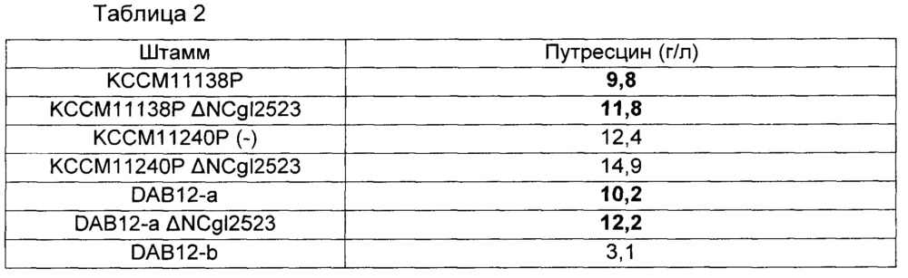 Микроорганизм для продуцирования путресцина и способ получения путресцина с его использованием (патент 2653453)